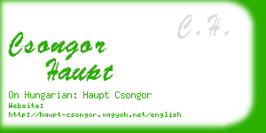 csongor haupt business card